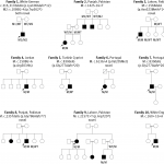 Muitationsübersicht Diagramm